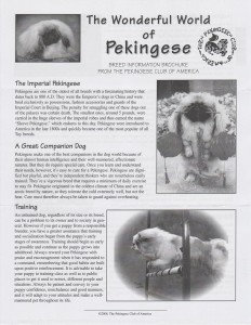 akc-certificate-3