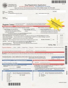 american-kennel-club-dog-registration-application-1