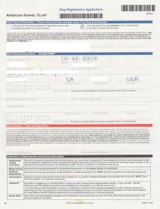 american-kennel-club-dog-registration-application-2