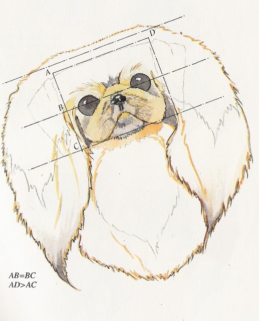 head0