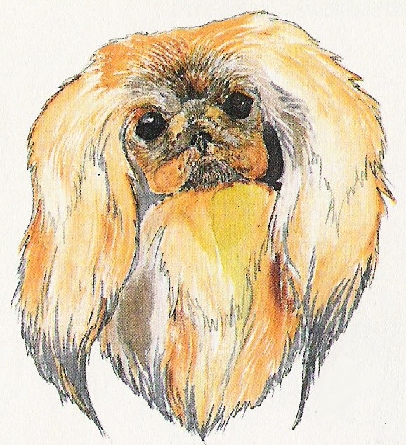 head1