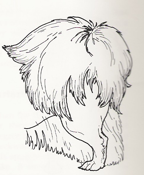 tail1