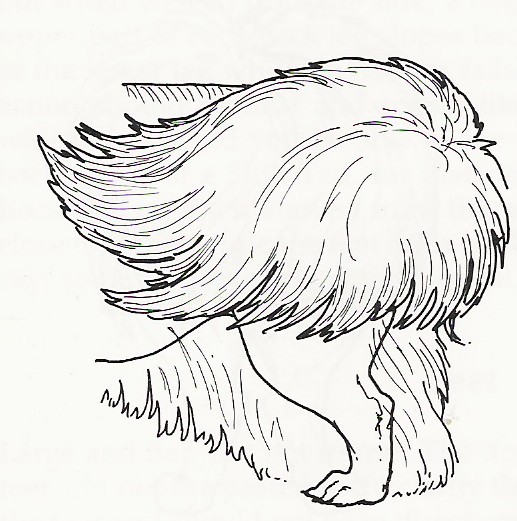 tail3